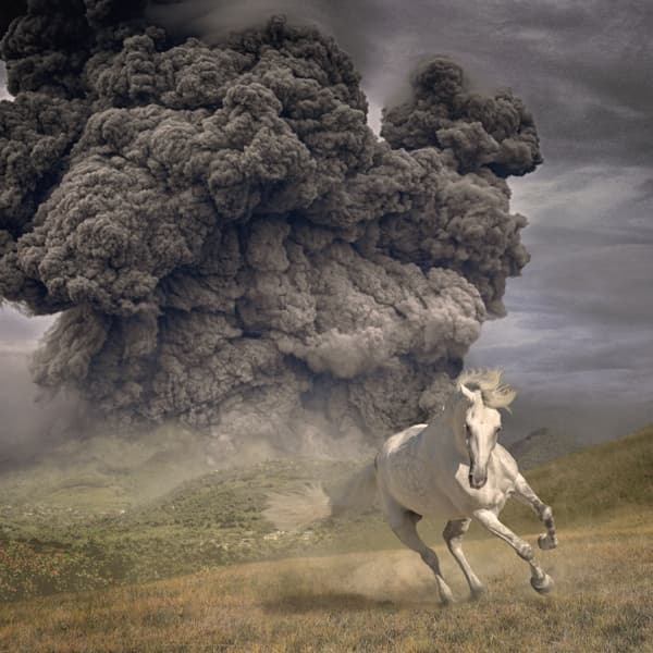 White Buffalo - Year Of The Dark Horse (LP) (Coloured Vinyl) (Limited Edition)