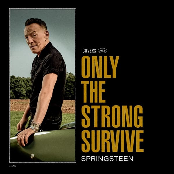 Bruce Springsteen - Only The Strong Survive (2 LP)