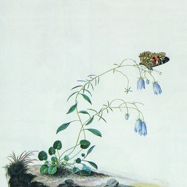 Botanist - Encyclopedia Botanica, Vol.1 (6 CD)