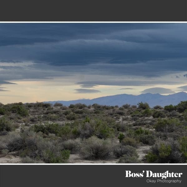 Boss' Daughter - Okay Photography (7" Single) (Limited Edition) (Coloured Vinyl)