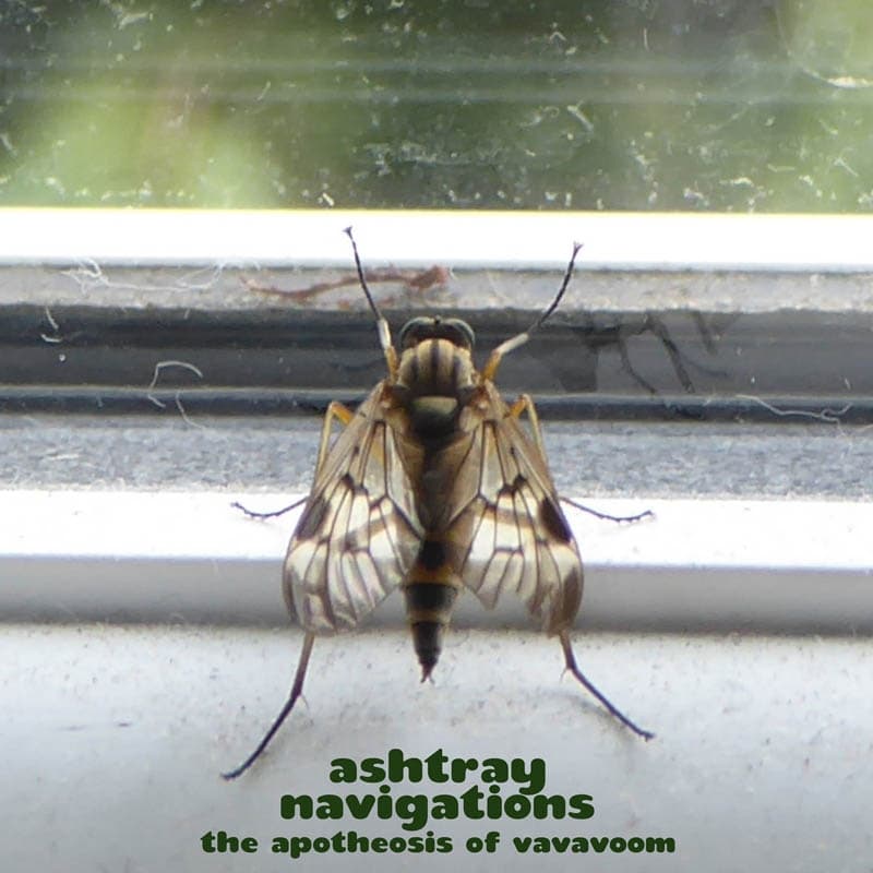 Ashtray Navigations - The Apotheosis of VaVaVoom (LP) (Coloured Vinyl)