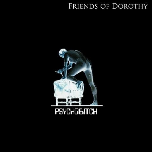 Friends Of Dorothy - Psychobitch (7" Single)