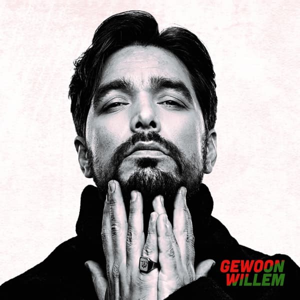 Waylon - Gewoon Willem (LP)