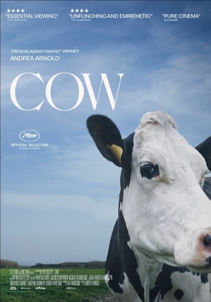 Cow (DVD)