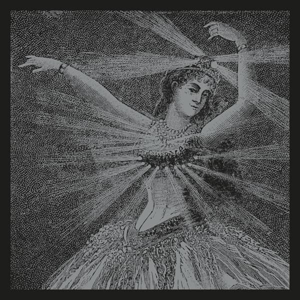 Neutral Milk Hotel - NMH Vinyl Box Set (9 LP) (Coloured Vinyl)