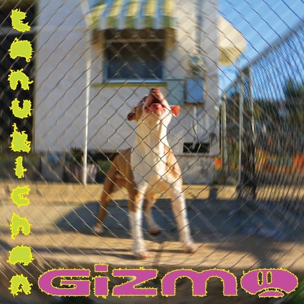 Tanukichan - GiZMO (LP)