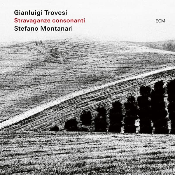 Gianluigi Trovesi, Stefano Montanari - Stravaganze Consonanti (CD)