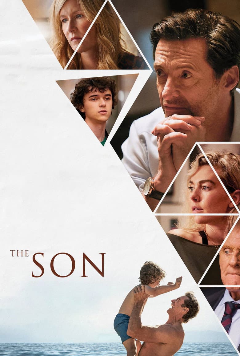 The Son (DVD)