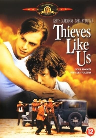 Thieves like us (DVD)