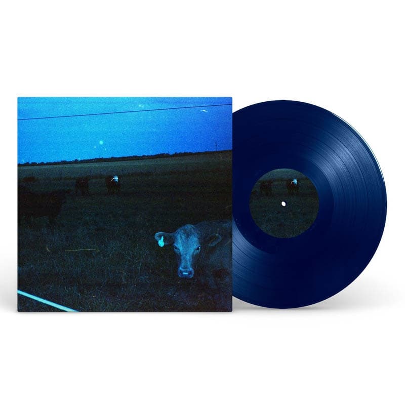 Waveform - Antarctica (LP) (Coloured Vinyl) (Limited Edition)