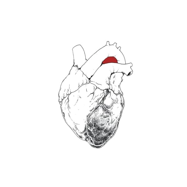 Swans - The Beggar (2 LP)