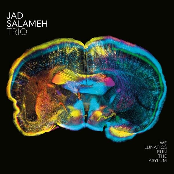 Jad Salameh Trio - We Lunatics Run The Asylum (CD)