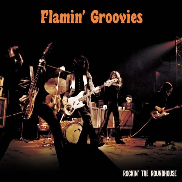 The Flamin' Groovies - Rockin' The Roundhouse (CD)