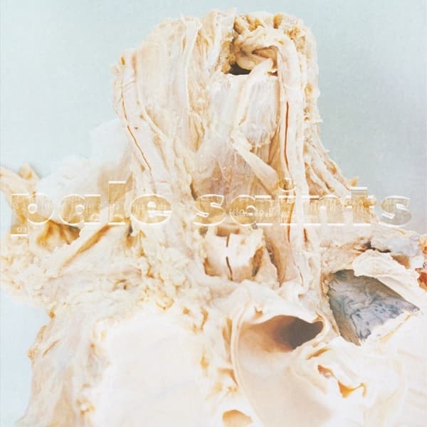 Pale Saints - In Ribbons (2 LP) (Limited Edition) (Remastered) (Coloured Vinyl)
