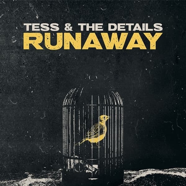 Tess & The Details - Runaway (LP)