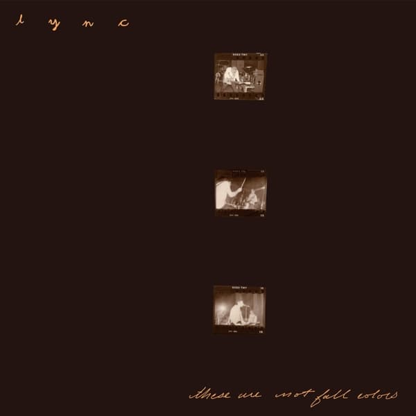 Lync - These Are Not Fall Colors (2 LP)