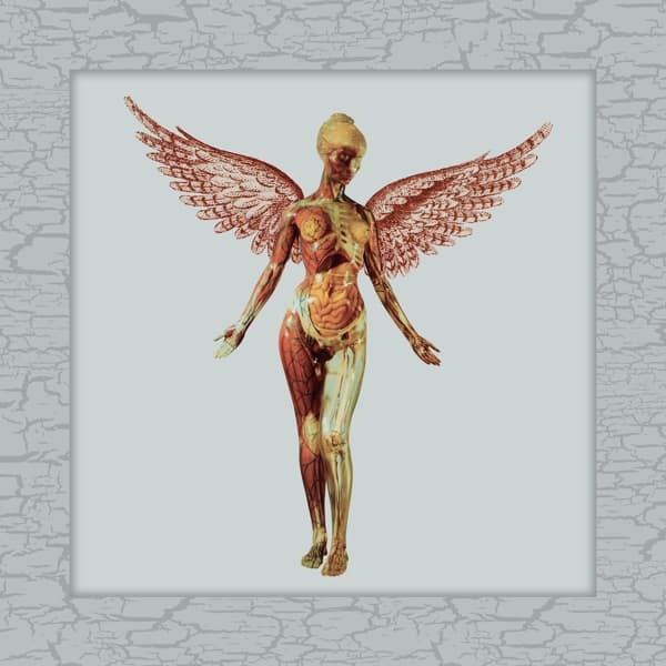 Nirvana - In Utero (8 LP) (30th Anniversary) (Anniversary Edition) (Limited Deluxe Edition) (Remastered)