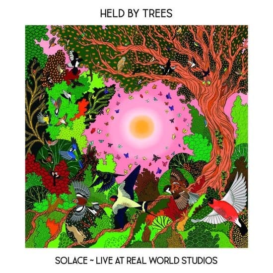 Held By Trees - Solace - Live From Real World Studios (CD)