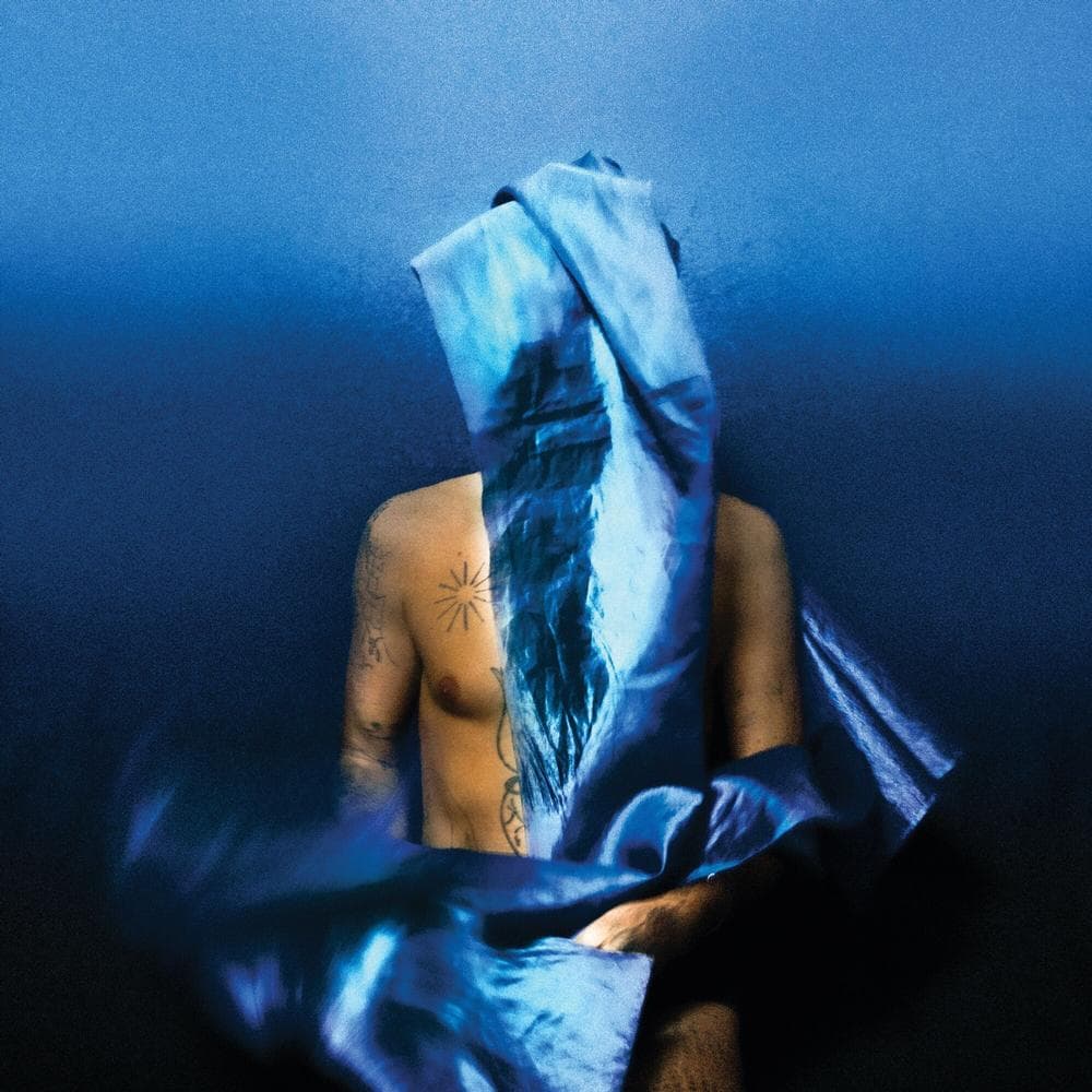 Devendra Banhart - Flying Wig (LP) (Coloured Vinyl)