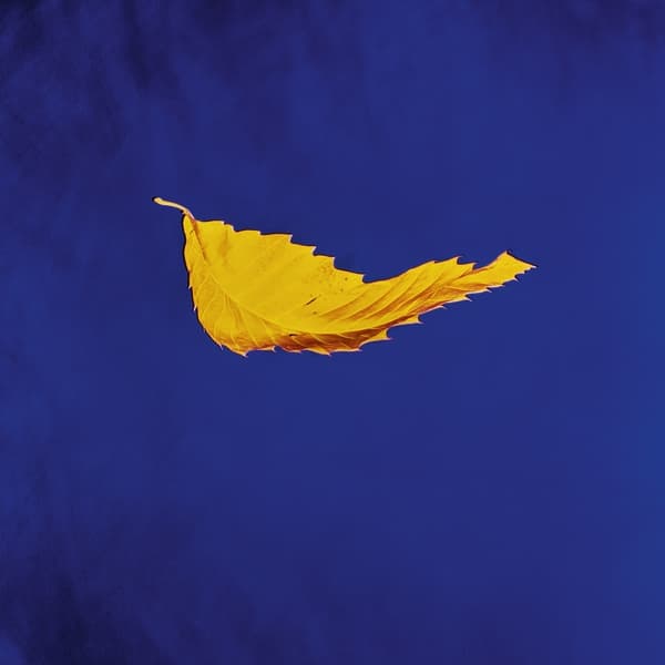 New Order - True Faith / 1963 (7" Single) (Remastered)