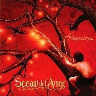 Sceau De L'ange - Phenomenes