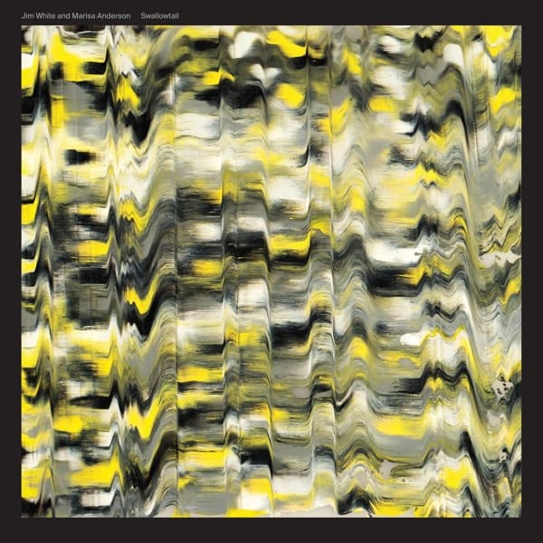 Jim White & Marisa Anderson - Swallowtail (LP)