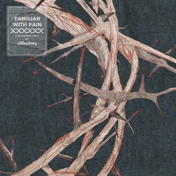 Meadows - Familiar With Pain (LP) (Coloured Vinyl)