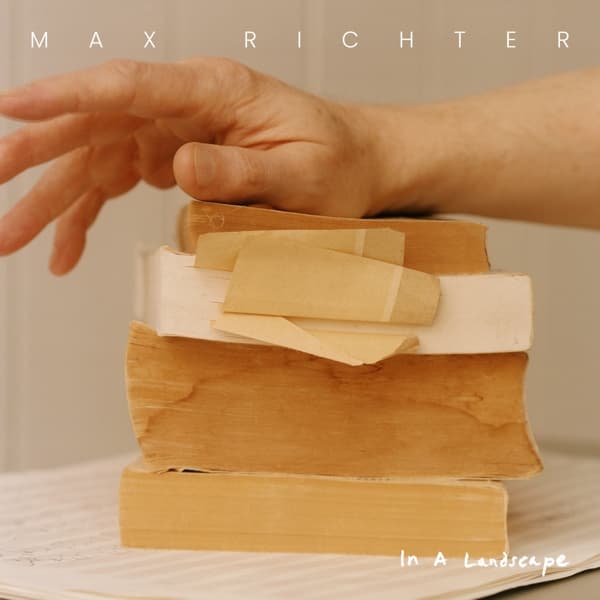 Max Richter - In A Landscape (2 LP)