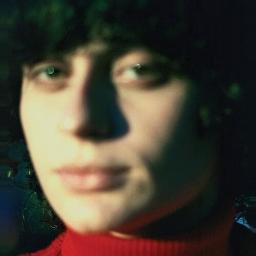 Ana Frango Elétrico - Little Electric Chicken Heart (LP)