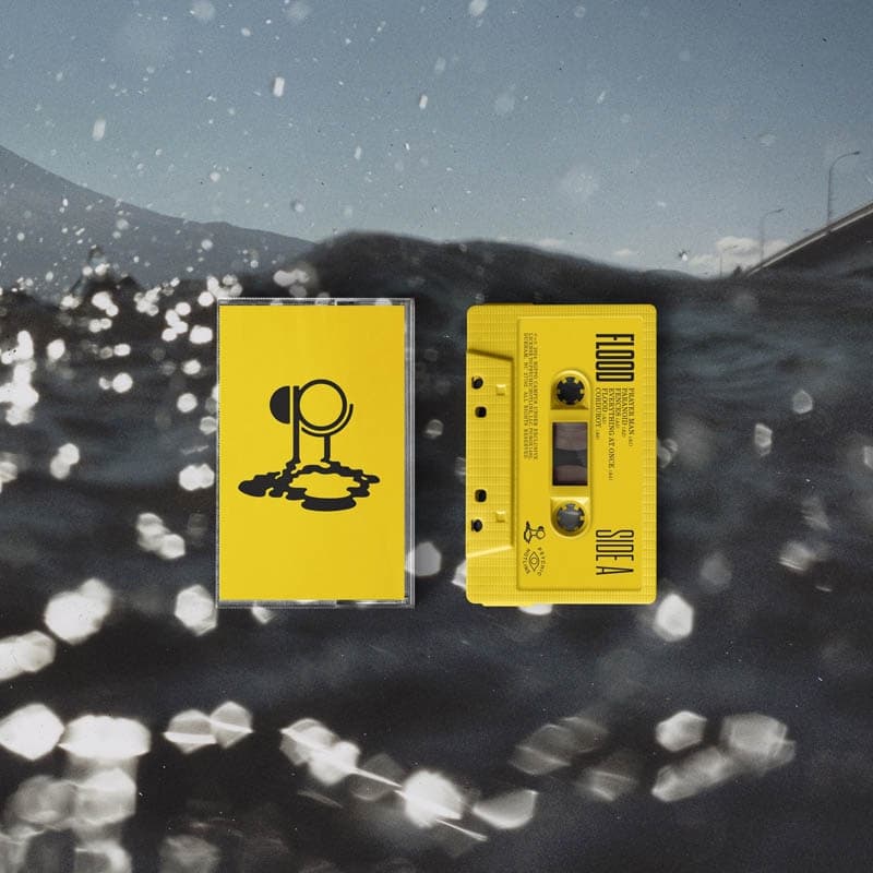 Hippo Campus - Flood (MC)