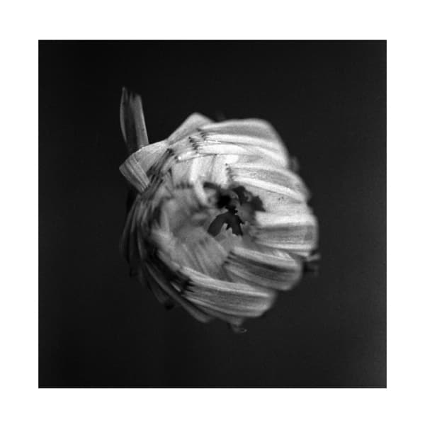 A Swarm Of The Sun - An Empire (2 LP)