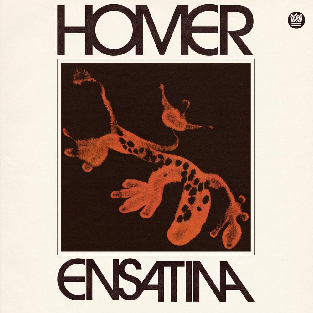 Homer - Ensatina (MC)
