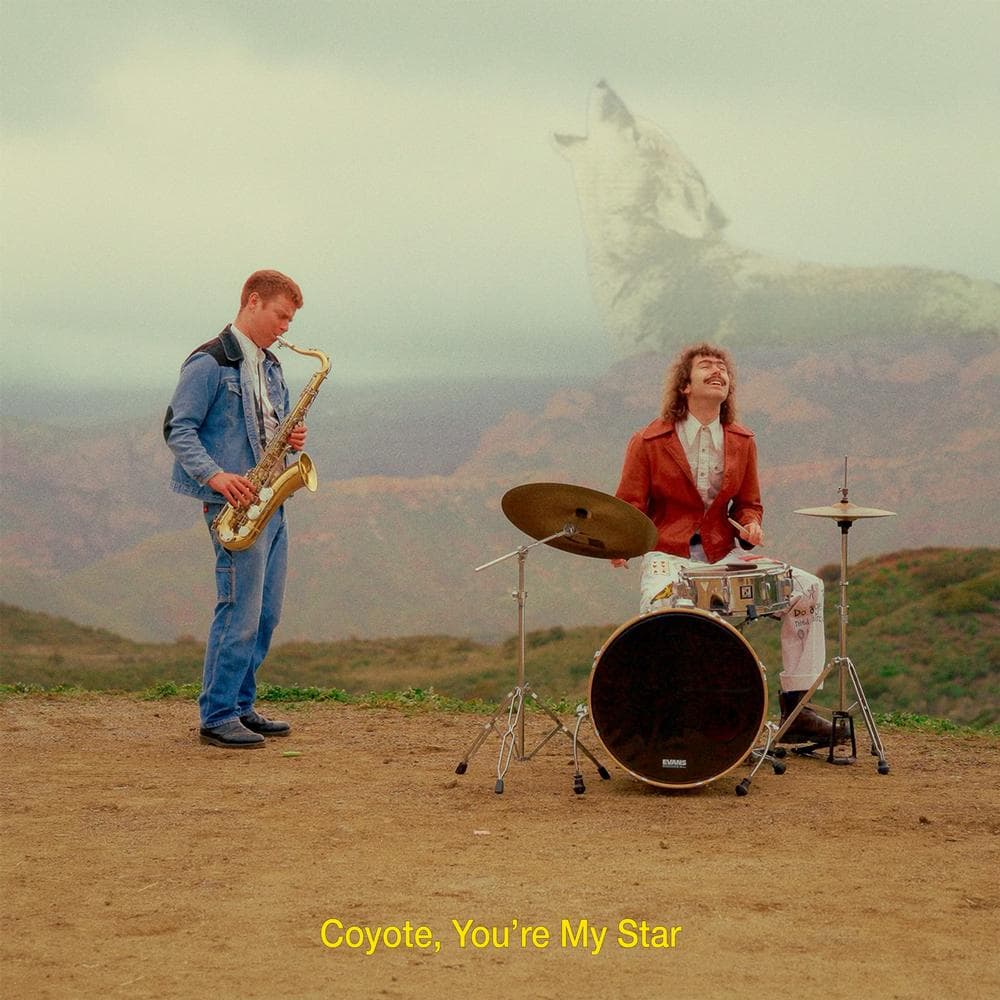 Dana & Alden - Coyote, You're My Star (LP)