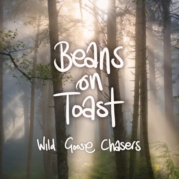 Beans On Toast - Wild Goose Chasers (CD)