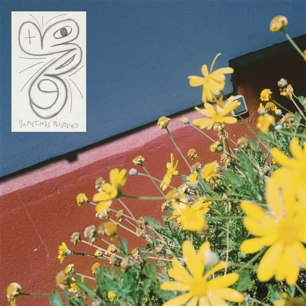 Laundromat Chicks - Sometimes Possessed (LP)