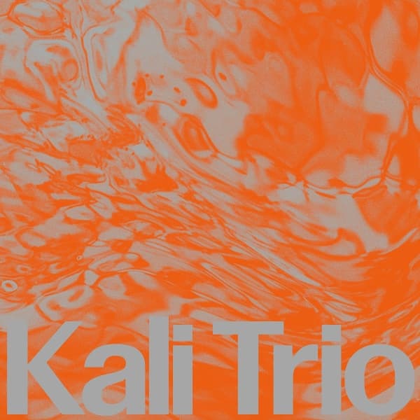 Kali Trio - The Playful Abstract (LP)