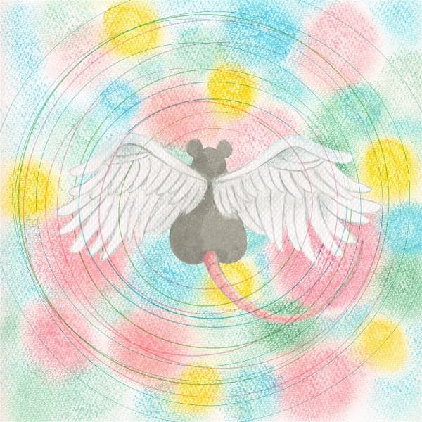 Mei Semones - Animaru (CD)