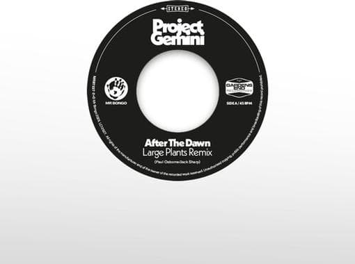 PROJECT GEMINI - After The Dawn - Large Plants Remix / Darkness