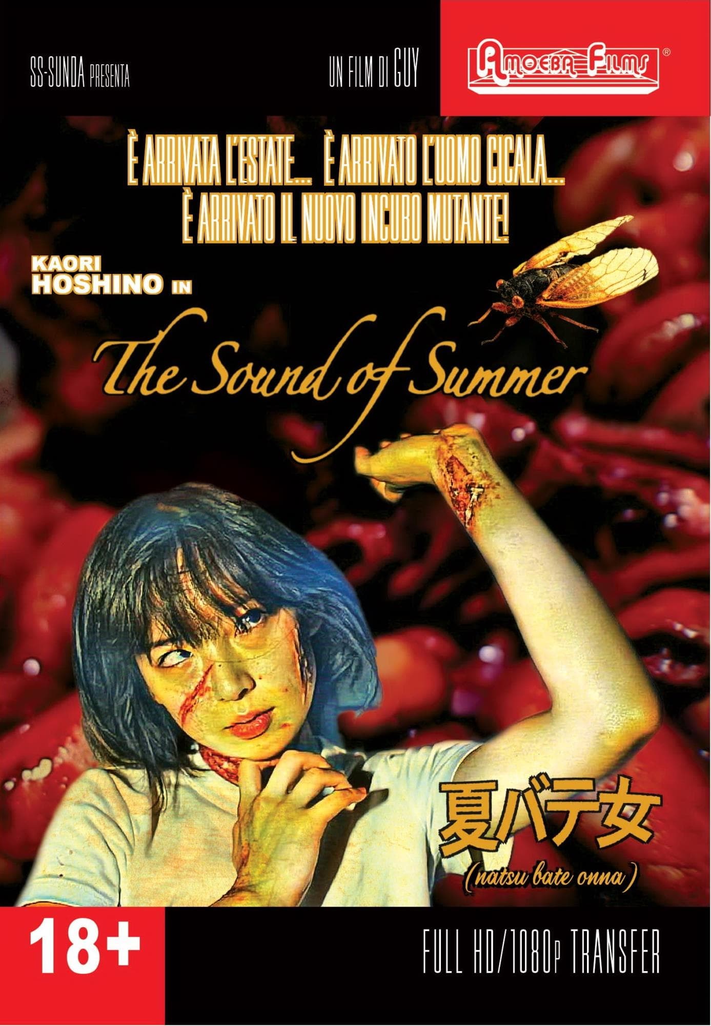 Sound Of Summer (The) (Import)