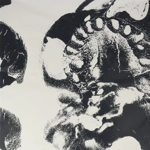 Folkstorm - Dodsabnorm (LP)