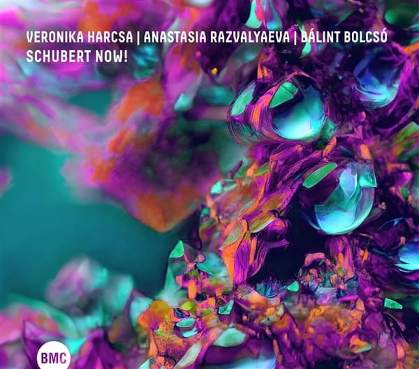 Veronika Harcsa & Anastasia Razvalyaeva, Bálint Bolcsó - Schubert Now! (CD)