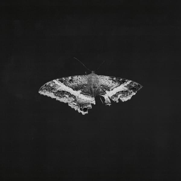 Kendrick Lamar - To Pimp A Butterfly (2 LP) (10th Anniversary Edition)
