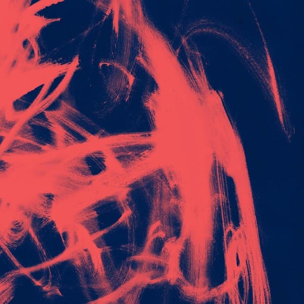 Rival Consoles - Landscape From Memory (2 LP)