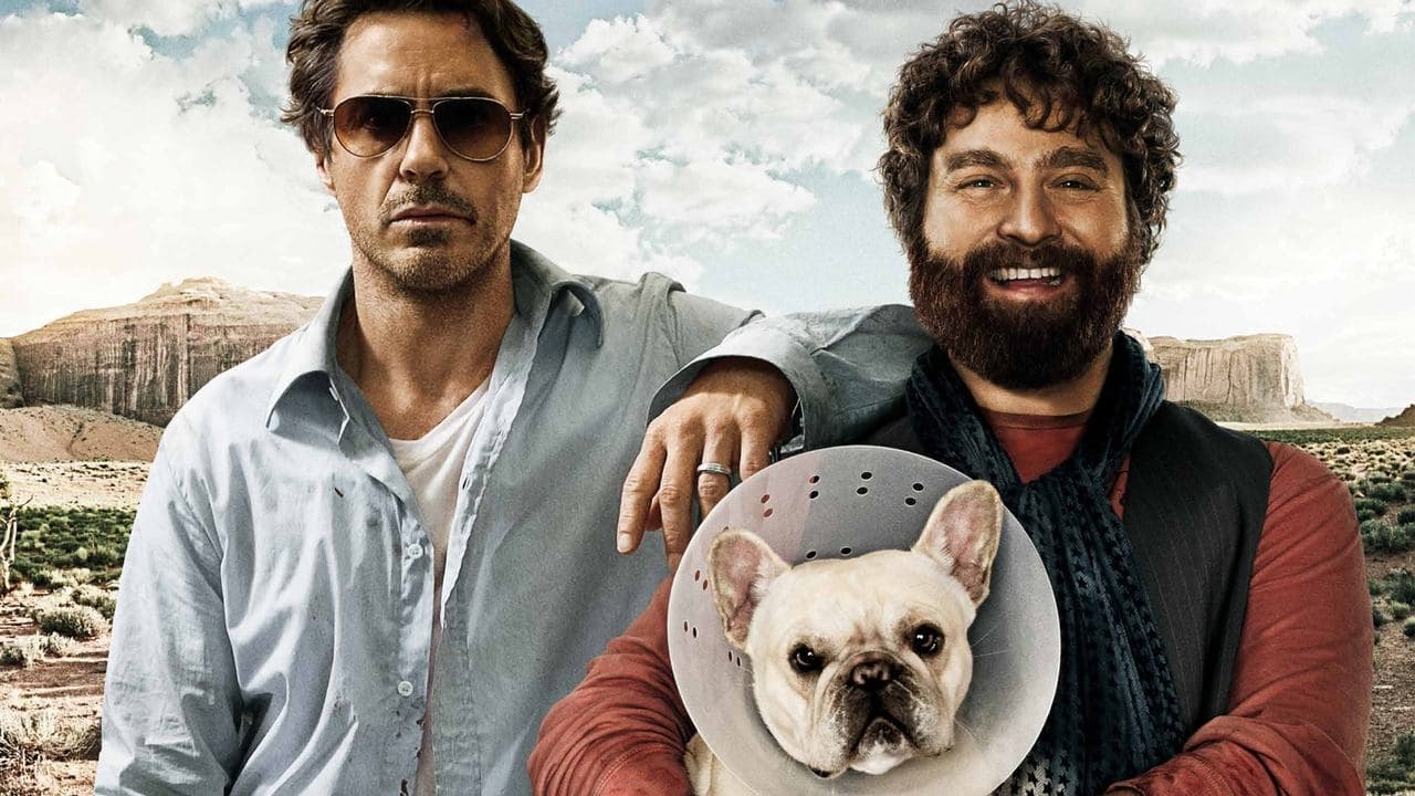 Due Date (Import)