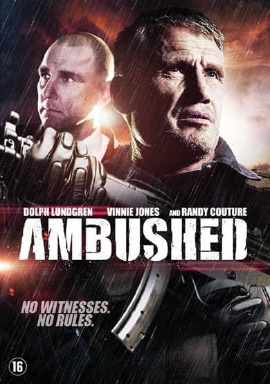 Ambushed (DVD)