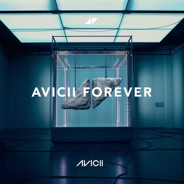 Avicii - Avicii Forever (2 LP)