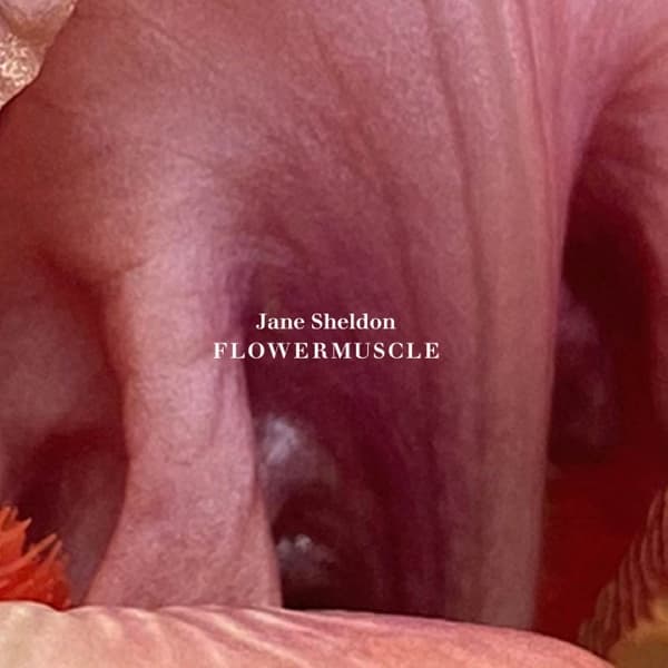 Jane Sheldon - Flowermuscle (CD)