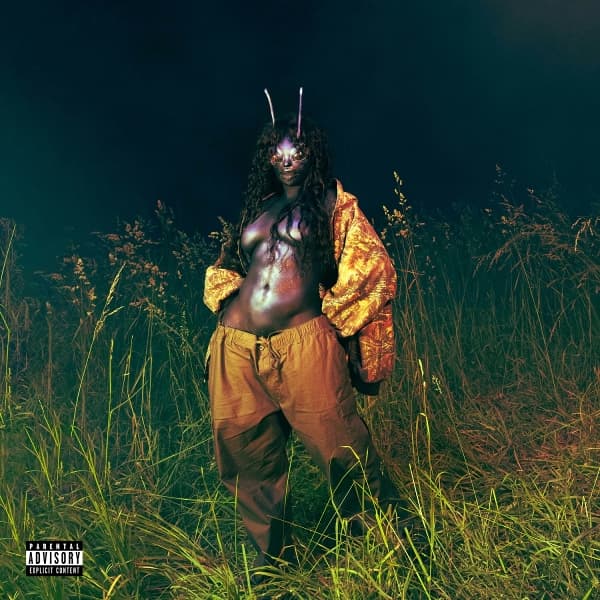 Sza - Sos Deluxe: Lana (4 LP) (Coloured Vinyl)