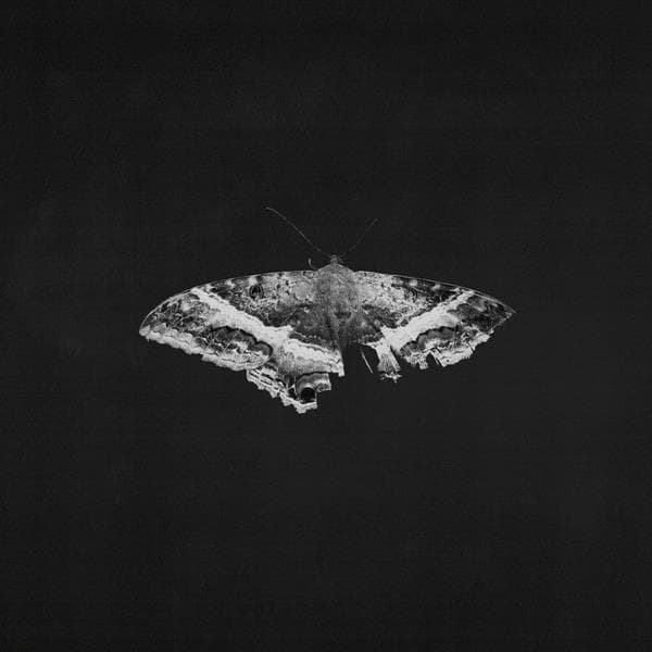 Kendrick Lamar - To Pimp A Butterfly (2lp 10th Anniversary Limited Grey Marble Version)