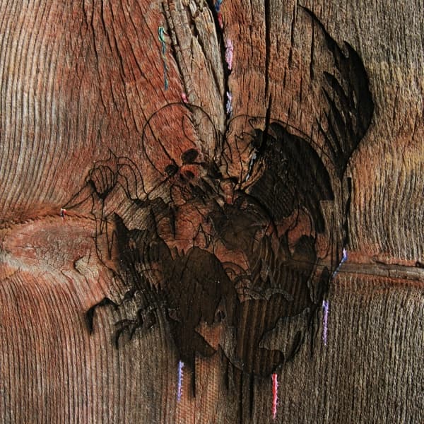 Avey Tare's Slasher Flicks - Enter The Slasher House (CD)